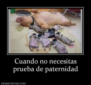 Cuando no necesitas prueba de paternidad