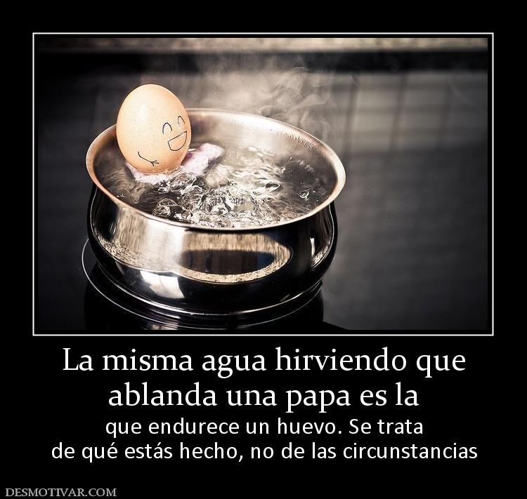 La misma agua hirviendo que ablanda una papa es la que endurece un huevo. Se trata de qué estás hecho, no de las circunstancias