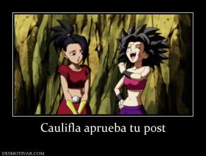 Caulifla aprueba tu post