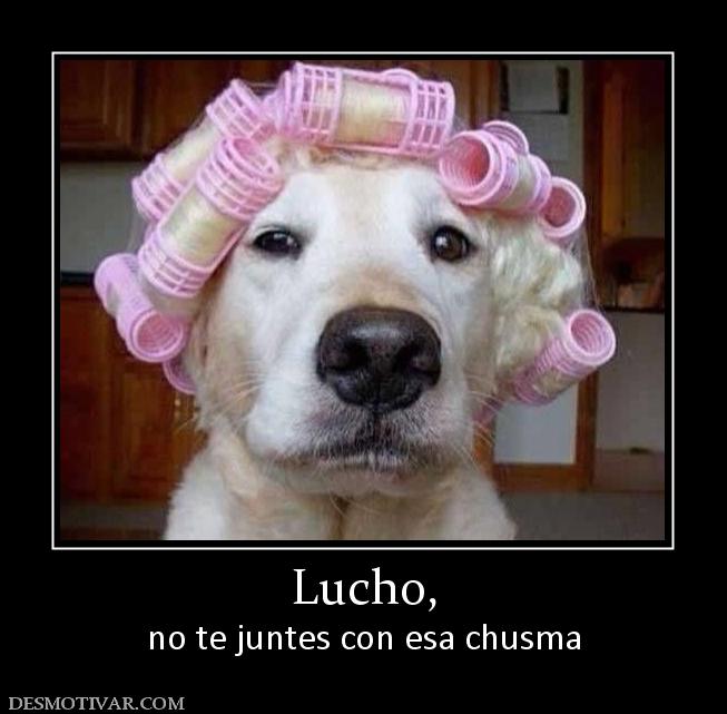 Lucho, no te juntes con esa chusma