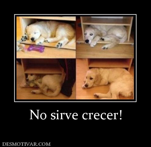 No sirve crecer!