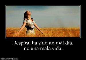 Respira, ha sido un mal día, no una mala vida.