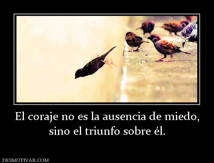 El coraje no es la ausencia de miedo, sino el triunfo sobre él.