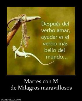 Martes con M de Milagros maravillosos