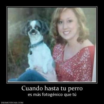 Cuando hasta tu perro es más fotogénico que tú