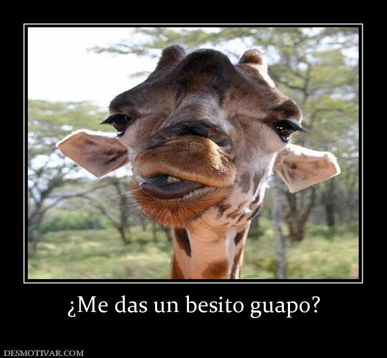 ¿Me das un besito guapo?