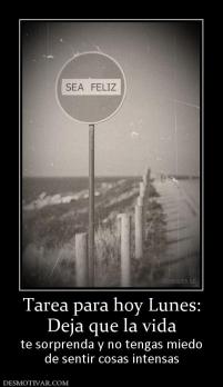 Tarea para hoy Lunes: Deja que la vida te sorprenda y no tengas miedo de sentir cosas intensas