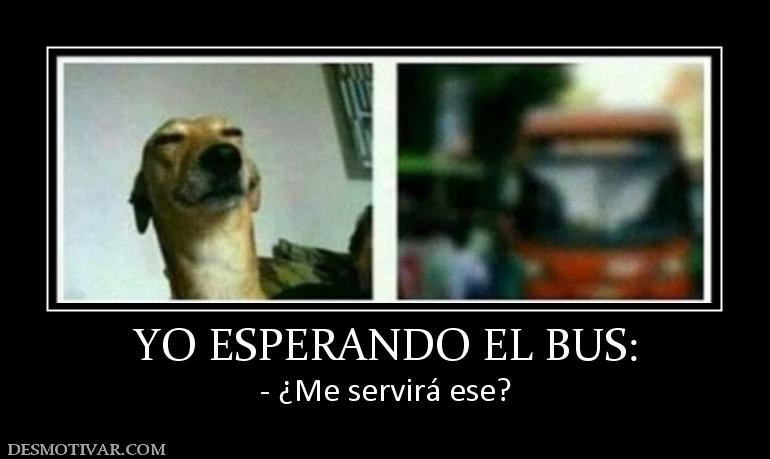 YO ESPERANDO EL BUS: - ¿Me servirá ese?