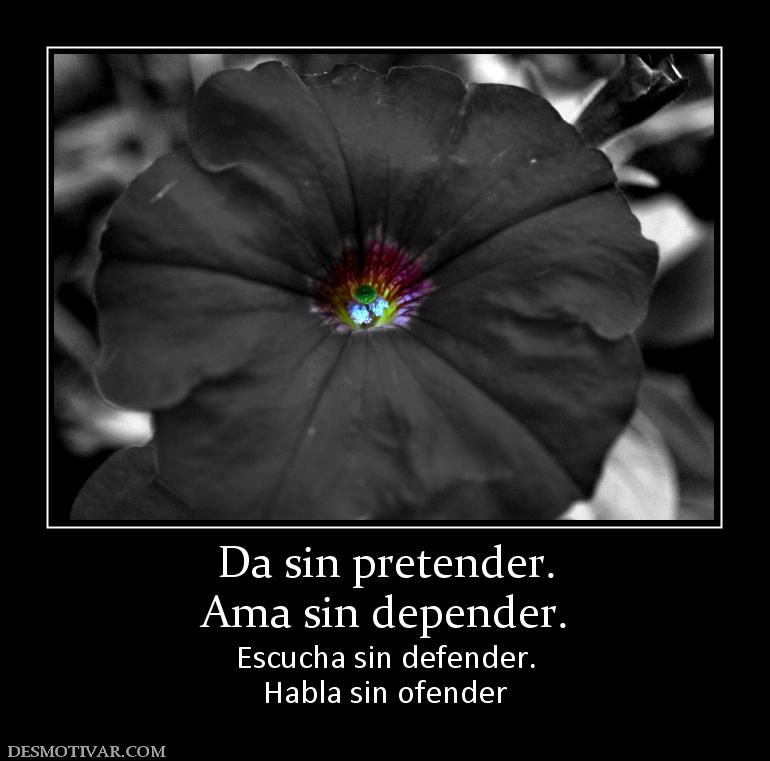 Da sin pretender. Ama sin depender.  Escucha sin defender. Habla sin ofender