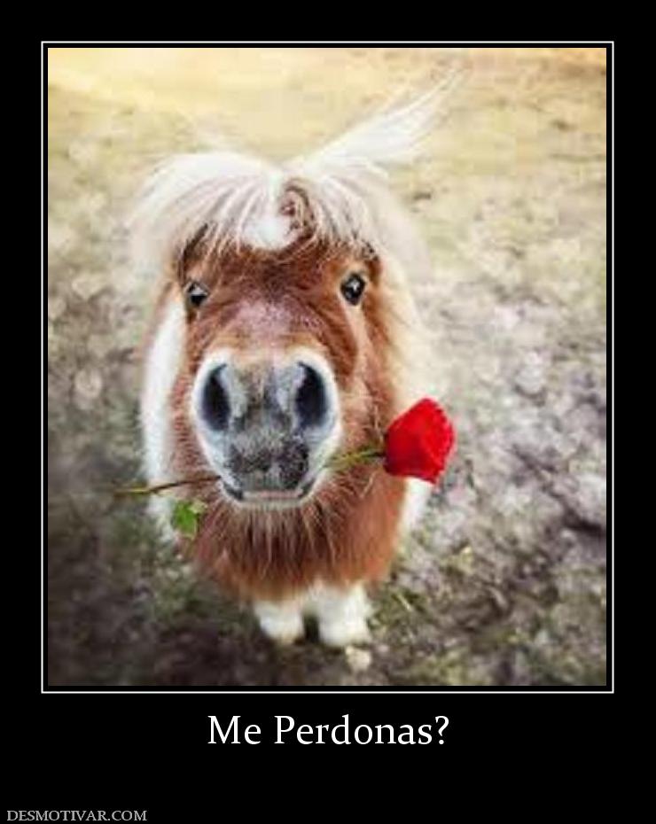 Me Perdonas?