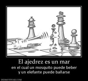 El ajedrez es un mar en el cual un mosquito puede beber y un elefante puede bañarse