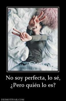 No soy perfecta, lo sé, ¿Pero quién lo es?