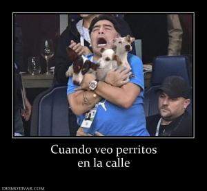 Cuando veo perritos en la calle