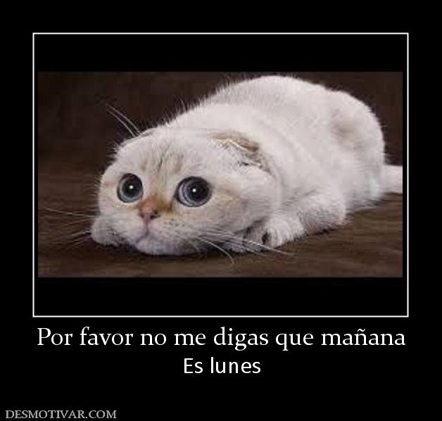 Por favor no me digas que mañana Es lunes