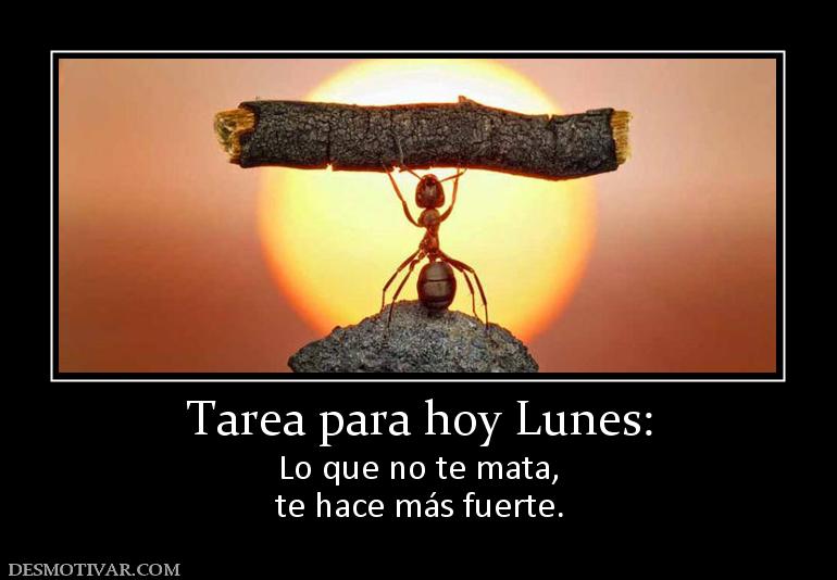 Tarea para hoy Lunes: Lo que no te mata, te hace más fuerte.