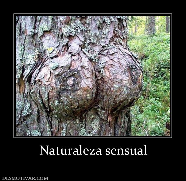 Naturaleza sensual