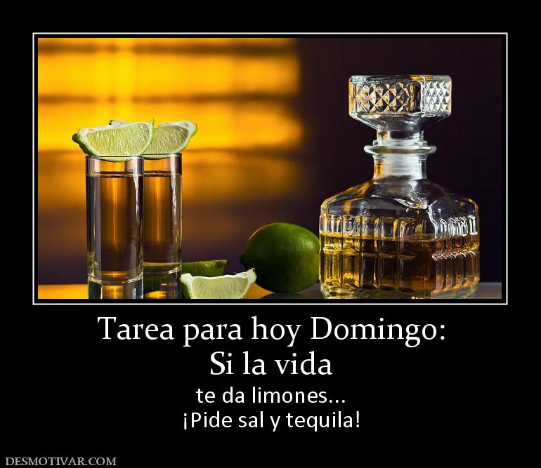 Tarea para hoy Domingo: Si la vida te da limones... ¡Pide sal y tequila!