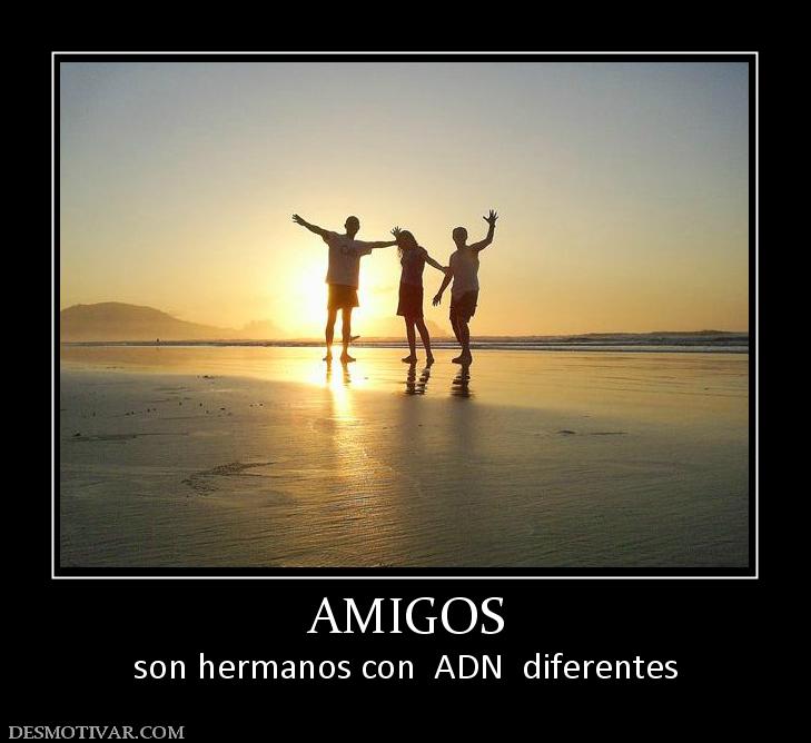 AMIGOS son hermanos con  ADN  diferentes