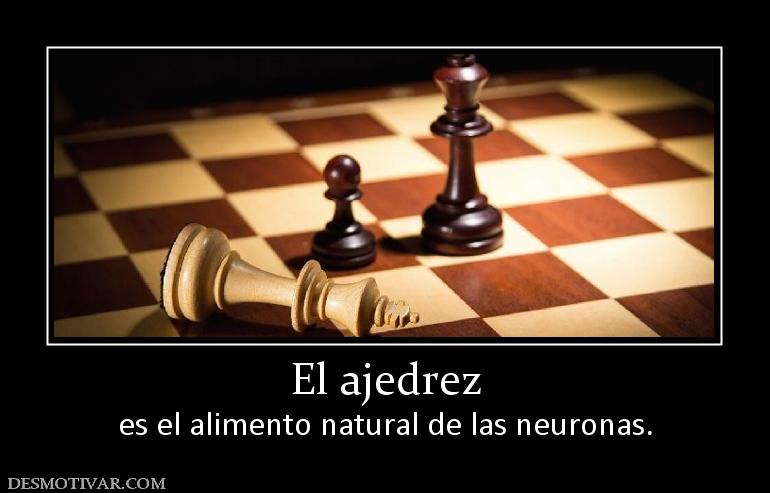 El ajedrez es el alimento natural de las neuronas.