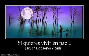 Si quieres vivir en paz... Escucha,observa y calla...