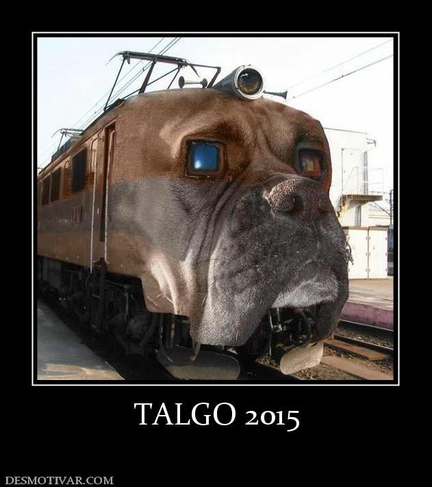 TALGO 2015