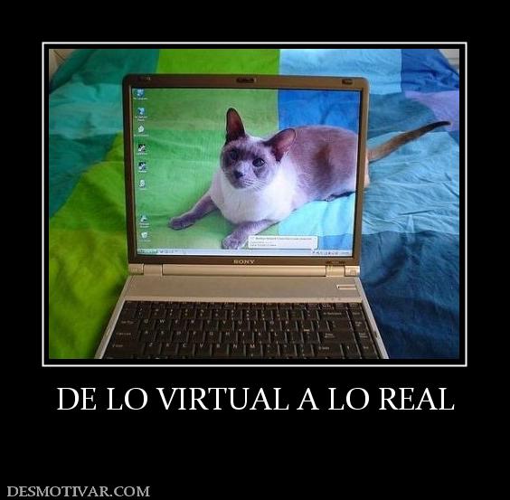 DE LO VIRTUAL A LO REAL