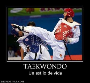 TAEKWONDO Un estilo de vida