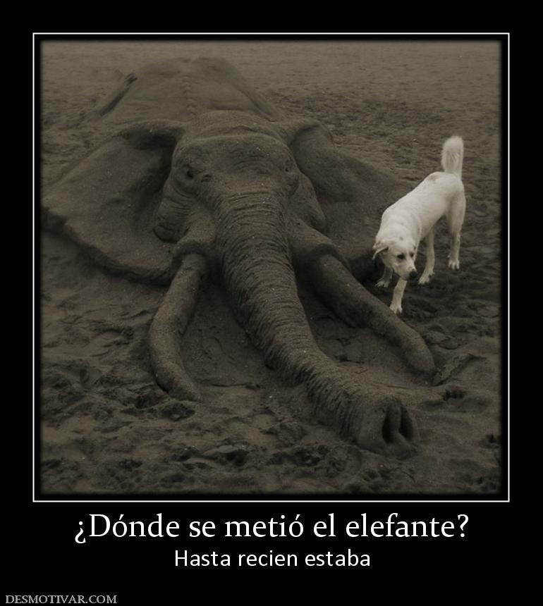 ¿Dónde se metió el elefante? Hasta recien estaba