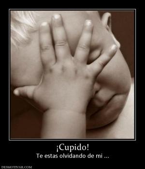 ¡Cupido! Te estas olvidando de mi ...