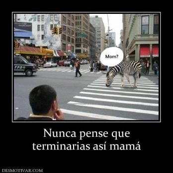 Nunca pense que terminarias así mamá