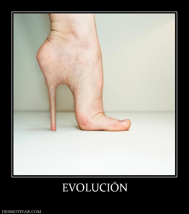 EVOLUCIÓN