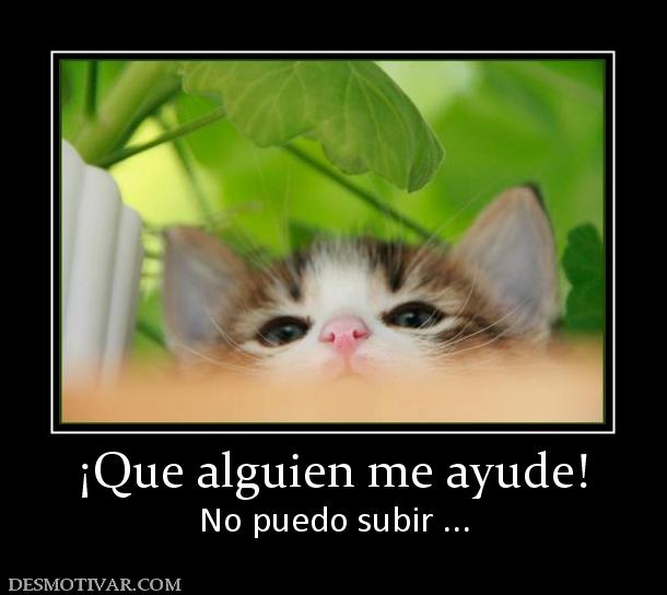 ¡Que alguien me ayude! No puedo subir ...