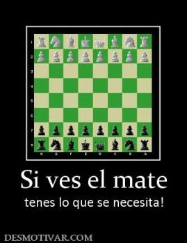 Si ves el mate tenes lo que se necesita!