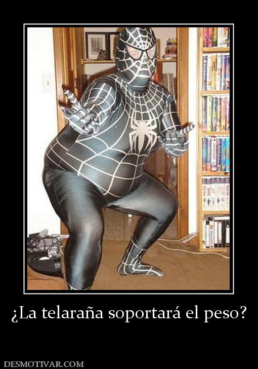 ¿La telaraña soportará el peso?