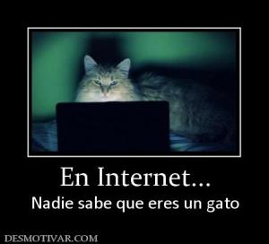 En Internet... Nadie sabe que eres un gato