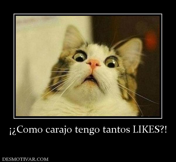 ¡¿Como carajo tengo tantos LIKES?!