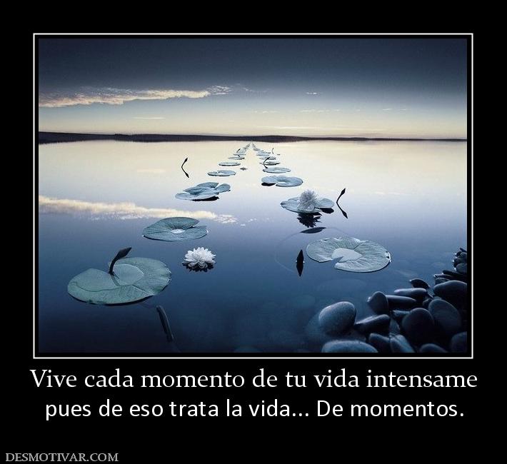 Vive cada momento de tu vida intensame pues de eso trata la vida... De momentos.