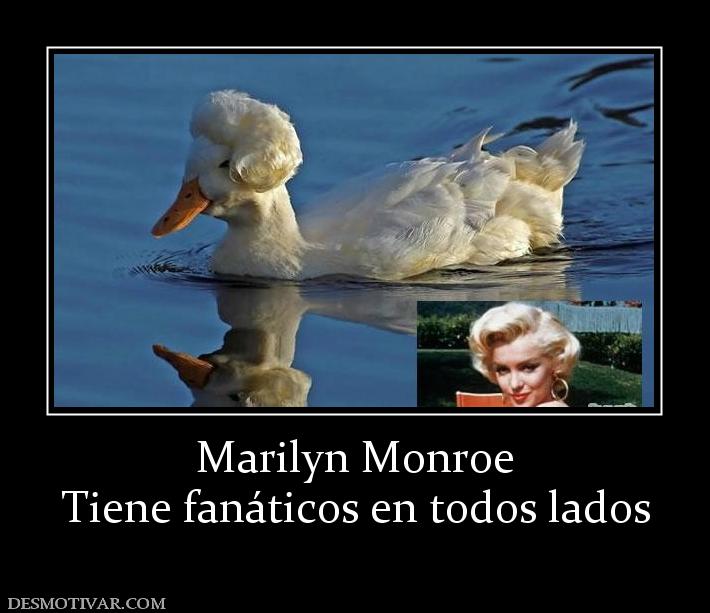 Marilyn Monroe Tiene fanáticos en todos lados