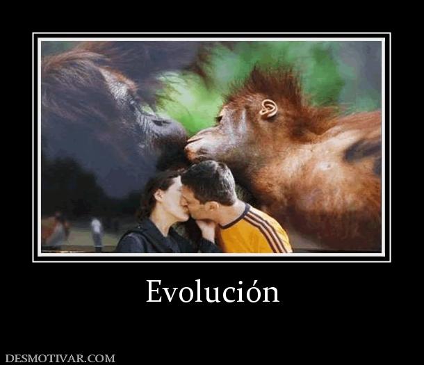 Evolución