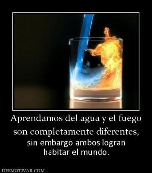 Aprendamos del agua y el fuego son completamente diferentes, sin embargo ambos logran habitar el mundo.