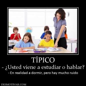 TÍPICO - ¿Usted viene a estudiar o hablar? - En realidad a dormir, pero hay mucho ruido