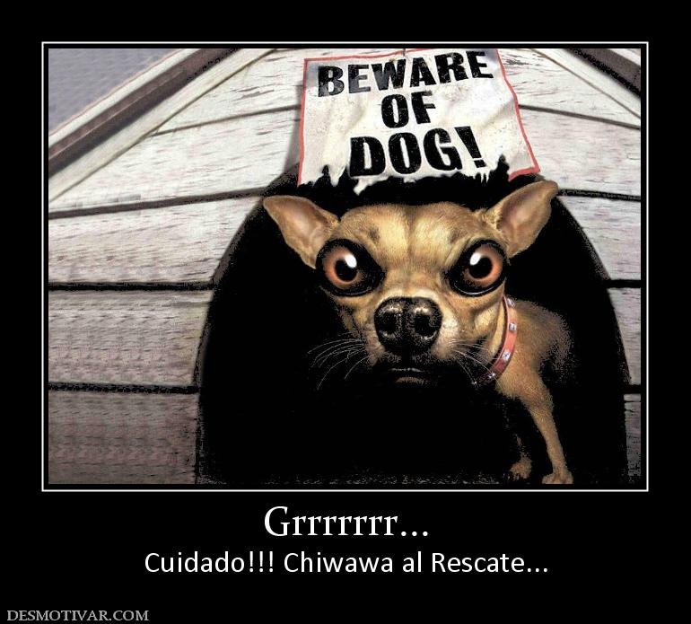 Grrrrrrr... Cuidado!!! Chiwawa al Rescate...