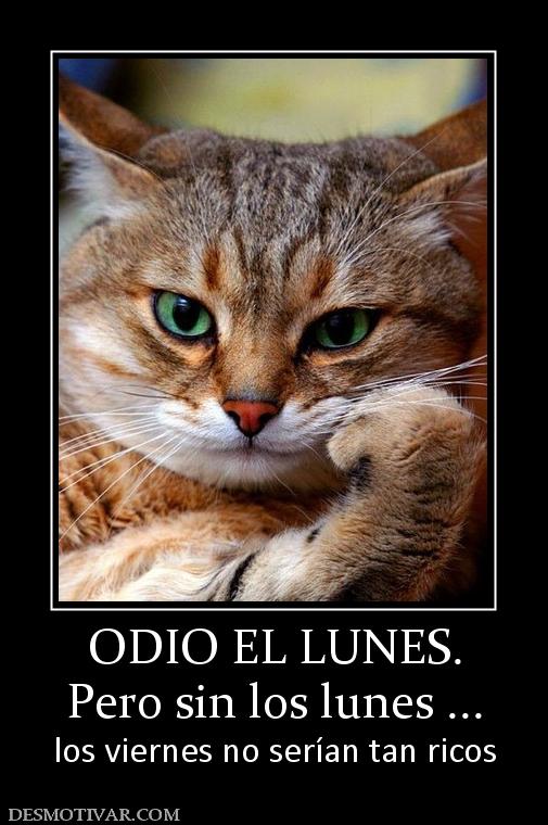 ODIO EL LUNES. Pero sin los lunes ... los viernes no serían tan ricos