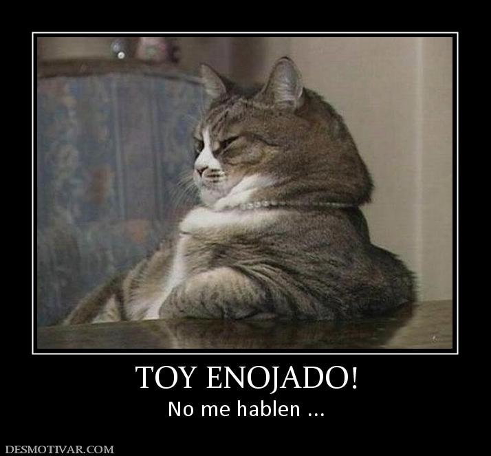 TOY ENOJADO! No me hablen ...