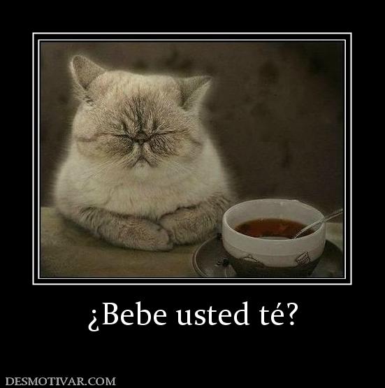 ¿Bebe usted té?