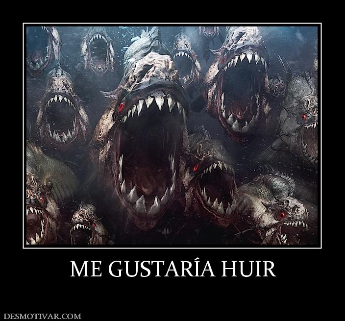 ME GUSTARÍA HUIR