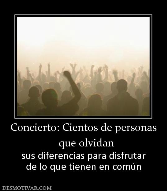 Concierto: Cientos de personas   que olvidan sus diferencias para disfrutar de lo que tienen en común