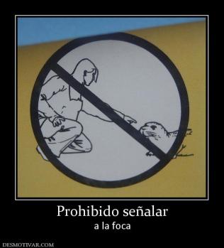 Prohibido señalar a la foca