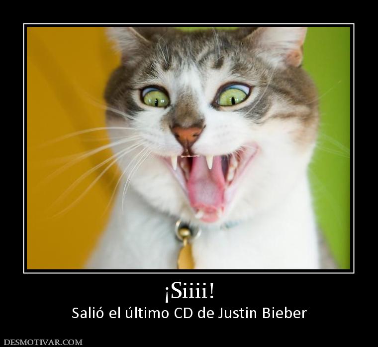 ¡Siiii! Salió el último CD de Justin Bieber