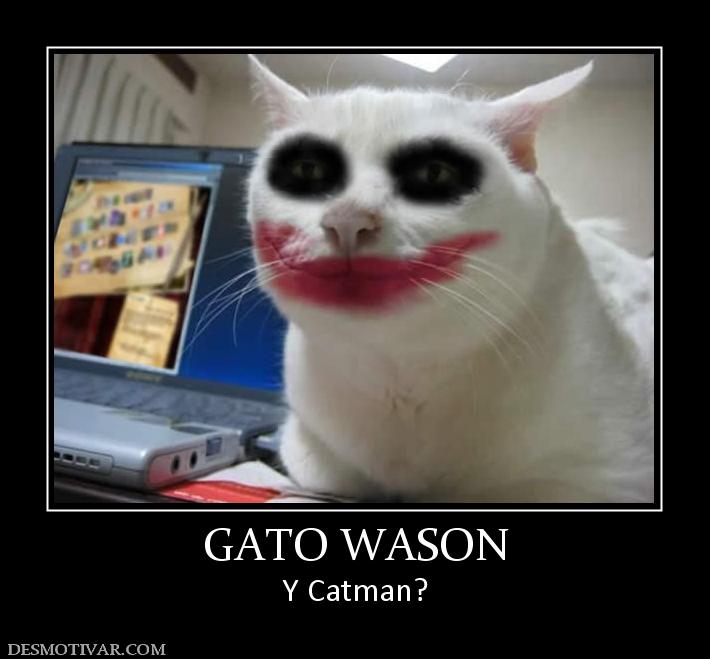 GATO WASON Y Catman?